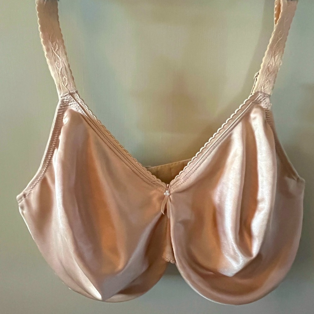 Elegant Satin Bra